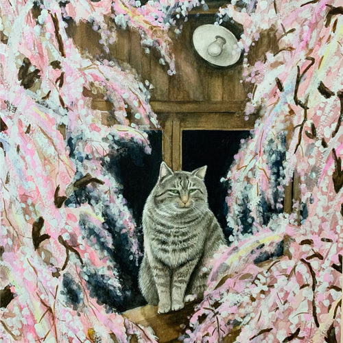 原画 【枝垂桜と猫】 桜 猫 cat 春 水彩画 F6 絵画 Chie Miyama 原画 【枝垂桜と猫】 桜 猫 cat 春 水彩画 F6 絵画 Chie Miyama