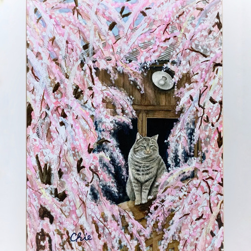 原画 【枝垂桜と猫】 桜 猫 cat 春 水彩画 F6 絵画 Chie Miyama 原画 【枝垂桜と猫】 桜 猫 cat 春 水彩画 F6 絵画 Chie Miyama