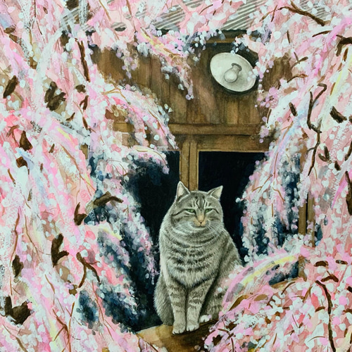 原画 【枝垂桜と猫】 桜 猫 cat 春 水彩画 F6 絵画 Chie Miyama 原画 【枝垂桜と猫】 桜 猫 cat 春 水彩画 F6 絵画 Chie Miyama