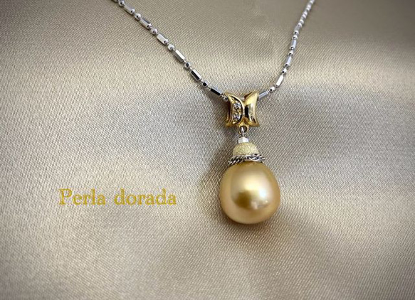 Perla dorada（ペルラドラーダ） 1枚目の画像