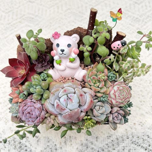 送料無料】可愛い♡花より団子くまさん♪多肉植物寄せ植え フラワー 