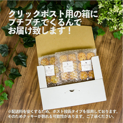 送料無料】自家製国産柑橘ピールとカカオとコーヒーのサブレ ブラッドオレンジ カカオ チョコレート 焼き菓子 手土産 5枚目の画像