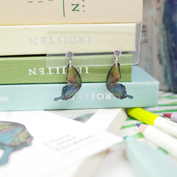 臺灣特有種 西風翠灰蝶 繪畫耳環 耳針/耳夾 第1張的照片