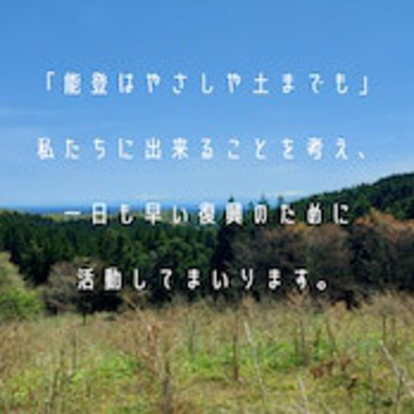 【無添加】能登のしずく石鹸　能登ヒバ15ｇ　お試し・旅行用　◎泡立てネット付 12枚目の画像