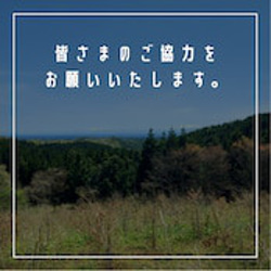 【無添加】能登のしずく石鹸　能登ヒバ15ｇ　お試し・旅行用　◎泡立てネット付 14枚目の画像