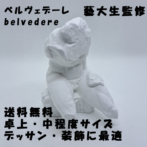 ベルヴェデーレ(高さ14cm) 石膏像 デッサン ホワイト インテリア 彫刻