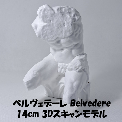 ベルヴェデーレ(高さ14cm) 石膏像 デッサン ホワイト インテリア 彫刻