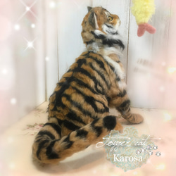 トイガー　キャット　虎　猫　ねこじゃらし　えび天　羊毛フェルト　アートドール 7枚目の画像