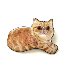 エキゾチックショートヘア のおすすめ人気通販 検索結果｜Creema