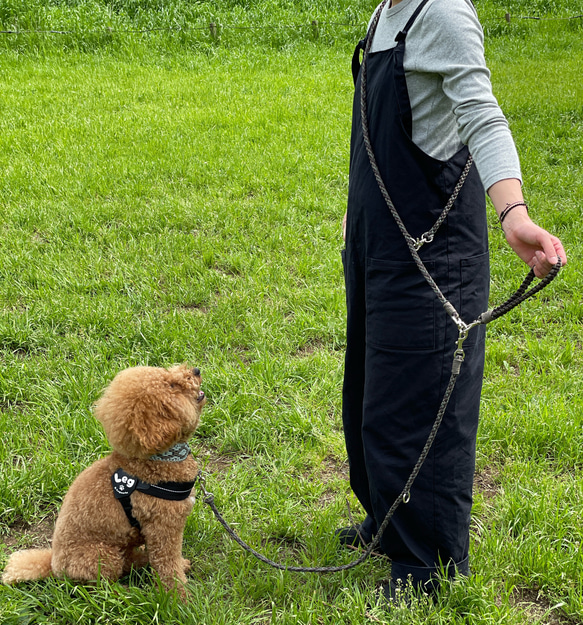 【超小型犬ショルダーリード】　カフェリード　パラコード　ランニングリード　リード　犬　dog  小型 2枚目の画像
