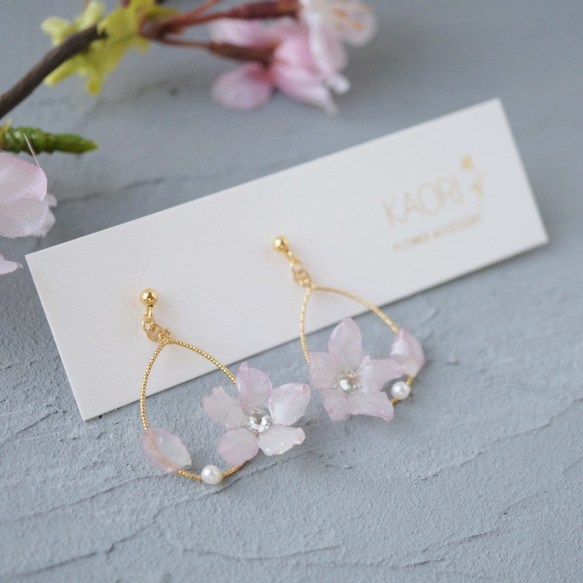 本物のお花〈啓翁桜〉揺れるピアス／イヤリング✳︎枯れないアクセサリー 1枚目の画像