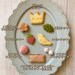 ホワイトデークッキー缶 【予約販売】3/11(月)発送 2枚目の画像