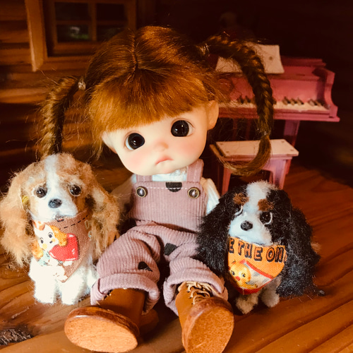 2匹のキャバリア＊モールアート ぬいぐるみ cookie 通販 17328027