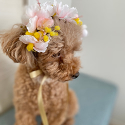 八重桜とミモザの花飾り ペット用 1枚目の画像