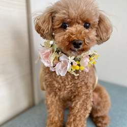 八重桜と小花とミモザの花飾り ペット用 8枚目の画像