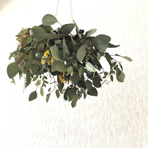 真珠葉アカシアとグリーンのフライングリース