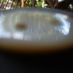珍珠母貝 2 孔零件 橢圓形 第7張的照片