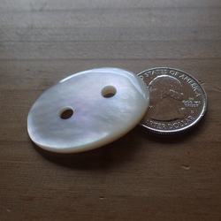 珍珠母貝 2 孔零件 橢圓形 第1張的照片