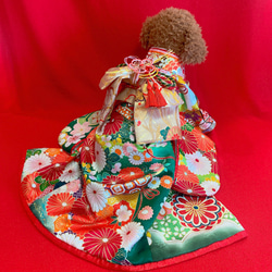 e0560b5183ef52cb4ea54dc33a06ae