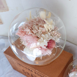 【予約販売】ガラスドームフラワー　Creema限定　カーネーション　プリザーブドフラワー　母の日　お祝い　ピンク　母の日 7枚目の画像