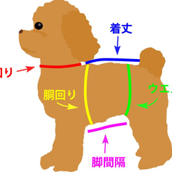  第12張的照片