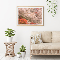 小原村　紅葉と四季桜　インテリアアートポスター　031 2枚目の画像
