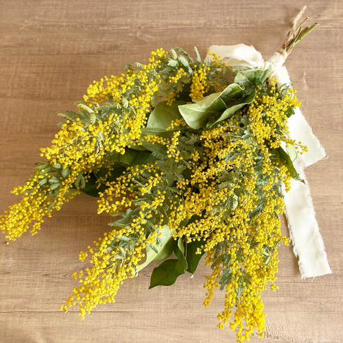 ラッピング無料＾＾】ミモザとレモンリーフのシンプルスワッグ／ドライ