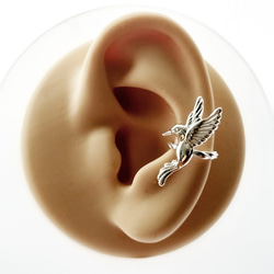 耳骨夾系列-純銀蜂鳥(hummingbird)耳骨夾-Ear Cuff-單耳 第5張的照片