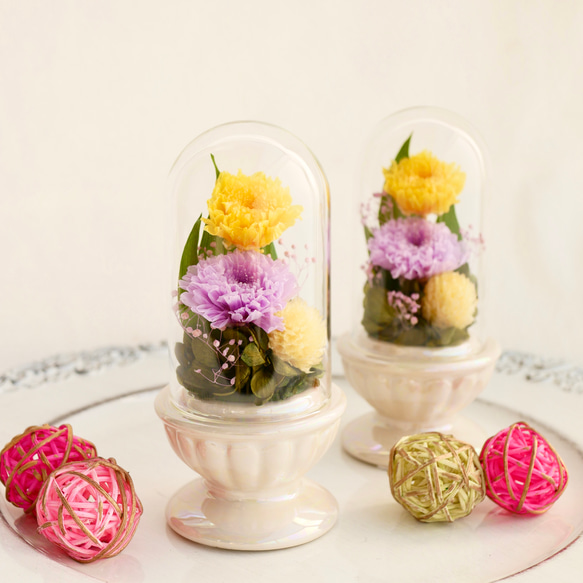 「ミニ仏花」小菊のプリザーブドフラワーのガラスドーム～パープルイエロー＜受注制作＞ 1枚目の画像