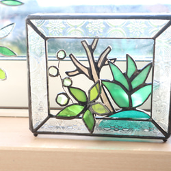 ガラスの植物・額縁仕立て 4枚目の画像