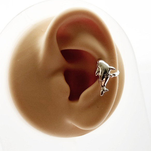 耳骨夾系列-純銀小虎鯨(Kill whale)耳骨夾-Ear Cuff-單耳 第4張的照片