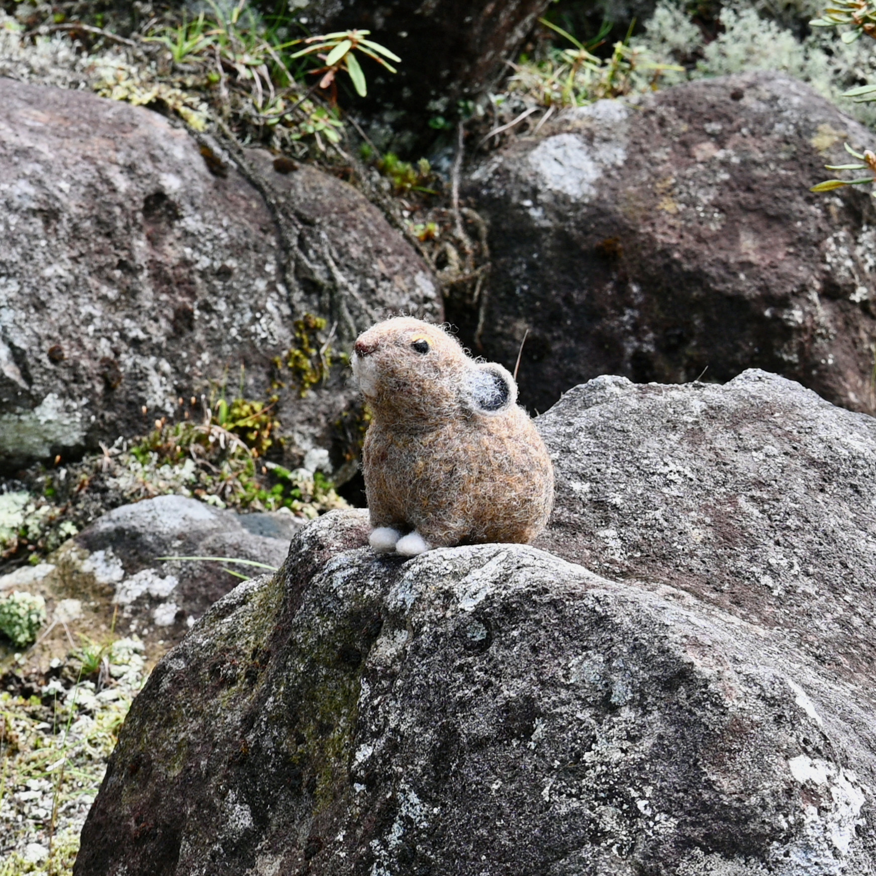 羊毛フェルトのオブジェ　エゾナキウサギ