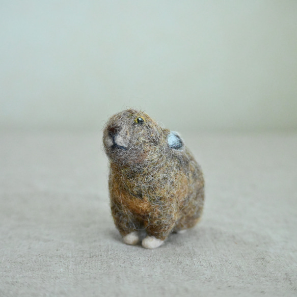羊毛フェルトのオブジェ　エゾナキウサギ（小） 5枚目の画像
