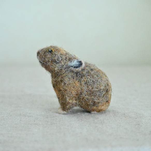 羊毛フェルトのオブジェ　エゾナキウサギ（小） 4枚目の画像