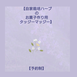 【オーダー制】自家栽培ハーブで束ねる【お菓子作り用タッジーマッジー】 1枚目の画像