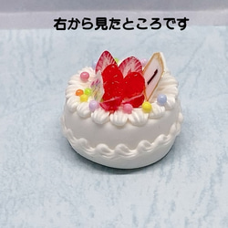 【ナンバーが入れられる】バースデーケーキ　NO.1　ミニチュアケーキ 4枚目の画像