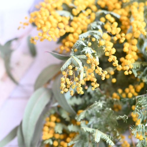 ドライフラワーの春ミモザ＊スワッグブーケ＊リボン選べます 35-40