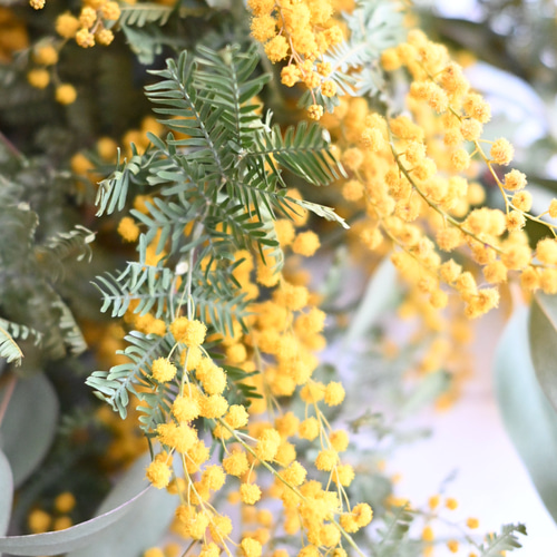 ドライフラワーの春ミモザ＊スワッグブーケ＊リボン選べます 35-40