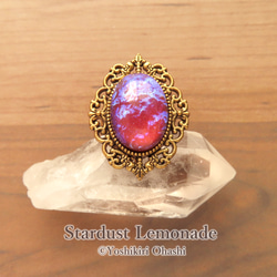 SV925 富の象徴・・スパイニーオイスターシェルring（9～23号