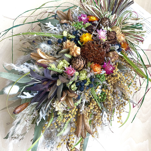 ミモザとドライアンドラフォルモーサとリューカデンドロの