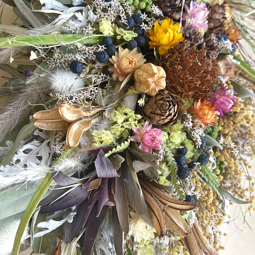 ミモザとドライアンドラフォルモーサとリューカデンドロの