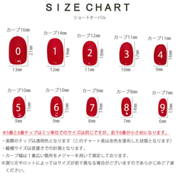 【セブチネイル】SEVENTEENNAIL/SVTネイル/svtnail/ウマゲシンネイル/カラットネイル/ライブネイル 8枚目の画像