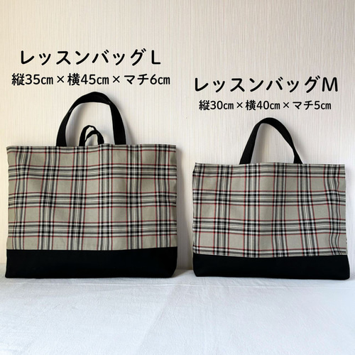 3点セットから選べる／入園入学セット レッスンバッグ 上履き入れ 体操