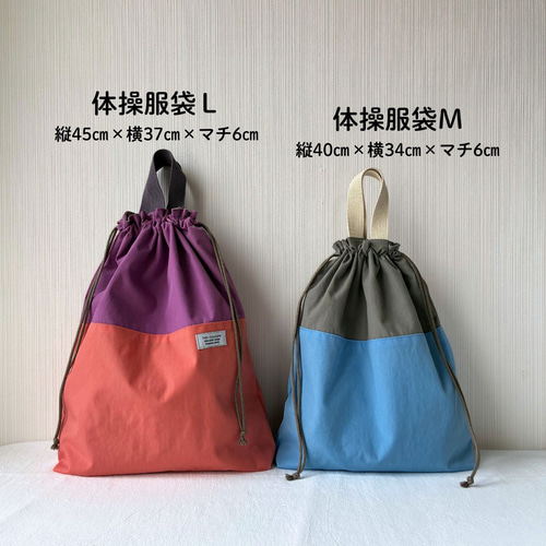 3点セットから選べる／入園入学セット レッスンバッグ 上履き入れ 体操