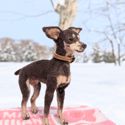 【愛されシニア】ミニピン【鼻先からおしりまで9.5cm細身】羊毛フェルト犬 シニア ペットロス 2枚目の画像