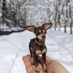 【愛されシニア】ミニピン【鼻先からおしりまで9.5cm細身】羊毛フェルト犬 シニア ペットロス 7枚目の画像