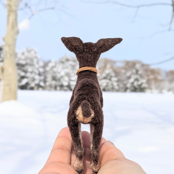 【愛されシニア】ミニピン【鼻先からおしりまで9.5cm細身】羊毛フェルト犬 シニア ペットロス 6枚目の画像