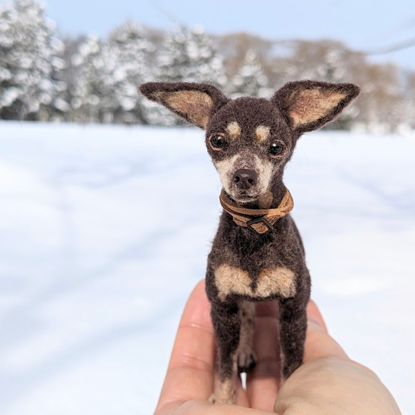 【愛されシニア】ミニピン【鼻先からおしりまで9.5cm細身】羊毛フェルト犬 シニア ペットロス 4枚目の画像