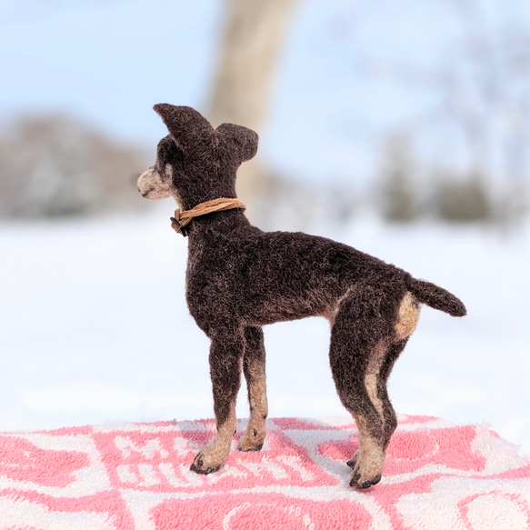 【愛されシニア】ミニピン【鼻先からおしりまで9.5cm細身】羊毛フェルト犬 シニア ペットロス 5枚目の画像