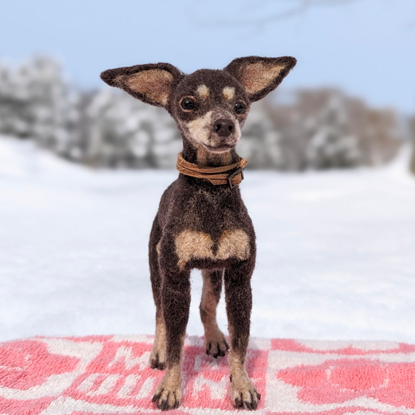 【愛されシニア】ミニピン【鼻先からおしりまで9.5cm細身】羊毛フェルト犬 シニア ペットロス 1枚目の画像